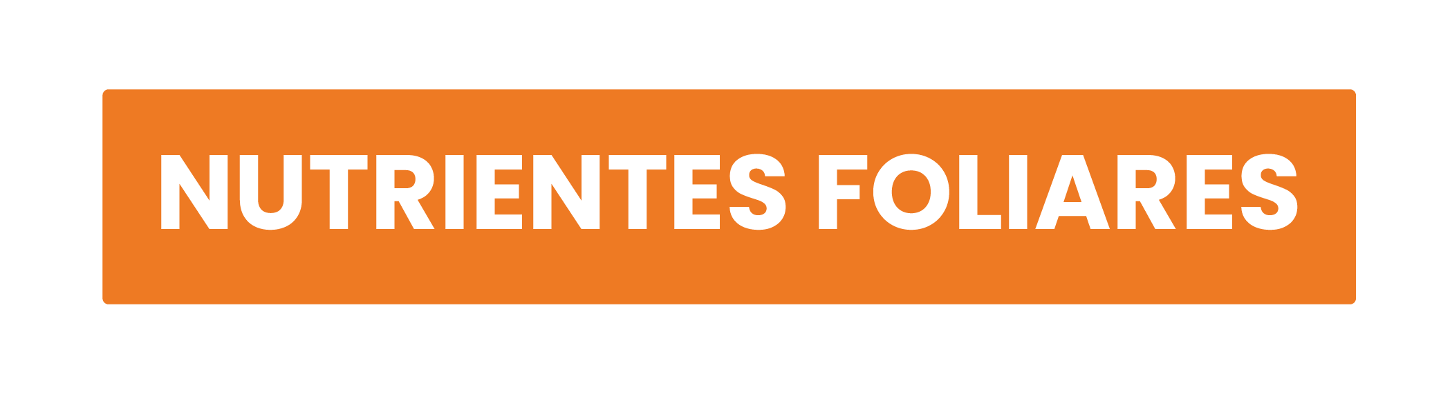 Categoría 4 Imagen 2